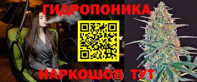ПСИЛОЦИБИНОВЫЕ ГРИБЫ Кизляр