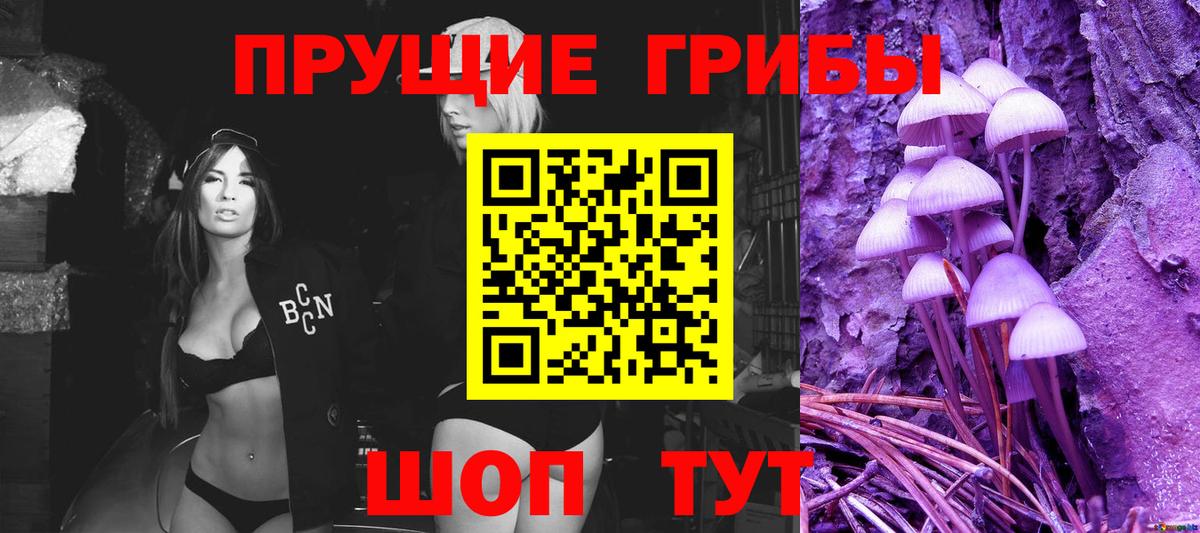 Галлюциногенные грибы MAGIC MUSHROOMS  Вход с VPN  Алушта 